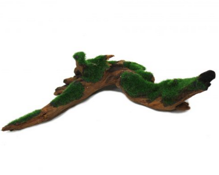 Hugo Kamishi Deco Aquascape Greenery 10-19cm
